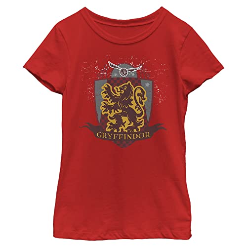 Image of Harry Potter Kids' Gryffindor Quidditch
