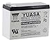 Produktbild Yuasa - Batterie Yuasa 12V 10Ah REC10-12 Anwendung zyklischer führen - REC10-12