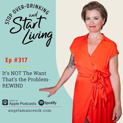 Ep 317 It's NOT The Want That's The Problem- REWIND Podcast Por  arte de portada