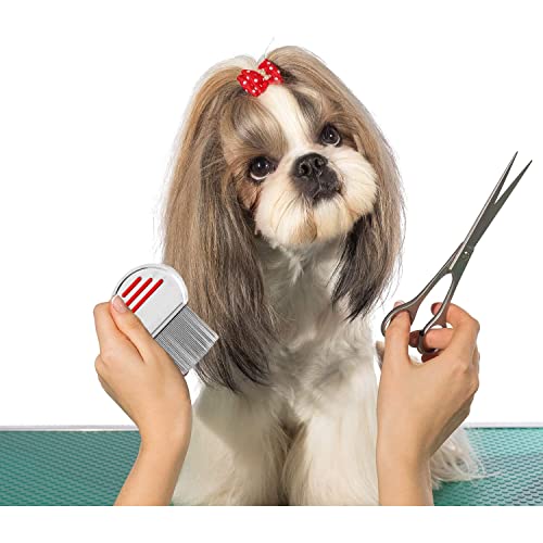 2 Pezzi Pettine Anti Pidocchi, Pettine per