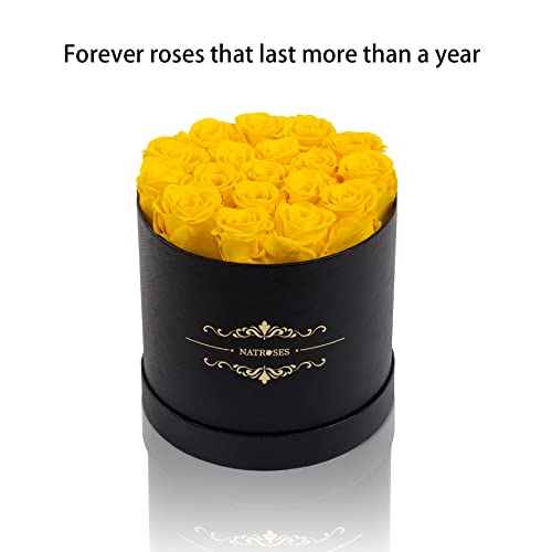 Natroses Handmade Preserved Roses In A Box, Long Lasting Roses That Last Up To 3 Years, Yellow Real Roses Mothers Day Valentines Day Gifts For Her (Yellow) #TOP4