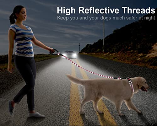 Erbine Dog Collar And Leash Set, Reflective Dog Collars With Safety Locking Buckle, 6Ft Heavy Duty Matching Dog Leash, 7 Colors And 4 Sizes For Medium Dogs, Hot Pink #TOP4