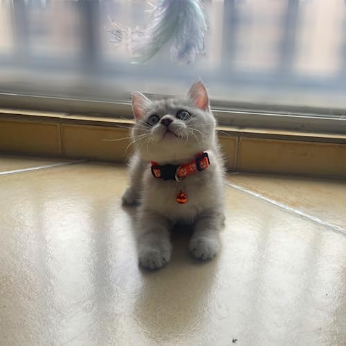 Hepplly Cat Collar, 2-Pack Reflective Nylon Kitten Collar with Bell, Adjustable Length from 19cm to 32cm - Image 3