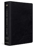 ESV Systematic Theology...image