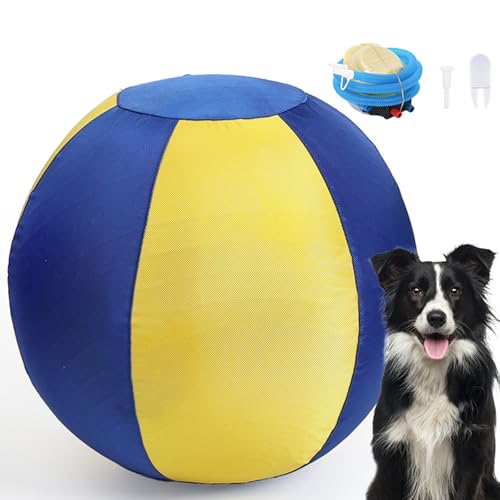 Balle d'entraînement interactive pour chien jouet gonflable anti-stress