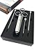 Grillfürst Profi Marinierspritze aus Edelstahl - 60ml - Set mit 3 Nadeln - Marinadenspritze - BBQ Bratenspritze - Fleischspritze