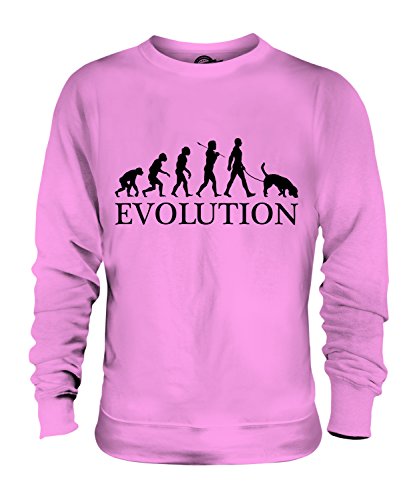 Sweat Braque Allemand Évolution cadeau idéal pour propriétaire de chien