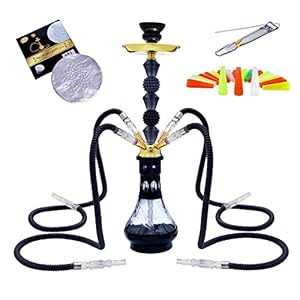 22” 4 Hose Hookah Set with Everything Glass Shisha Vase – Include 100 Disposable Tips, 50 Pre-Punched Aluminum Foil (Black1)