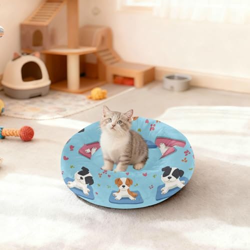 Panier pour chien bleu S contre le stress du chiot - 4