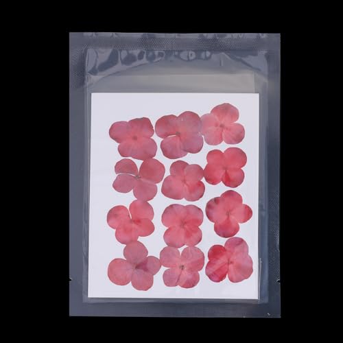 Flores prensadas secas rojas, 48 unidades para manualidades miniatura 4