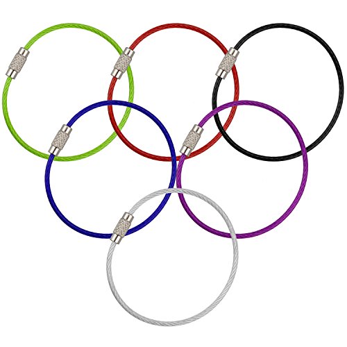 Wisdompro Portachiavi Filo Acciaio Metallico 20