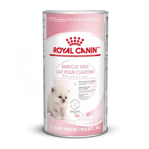 Royal Canin Babycat Milk | 300 g | Milchaustausch-Futtermittel für Katzenwelpen | Von der Geburt bis zur Entwöhnung (0-2 Monate)| Für ein...
