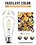 Lumiverse Edison Bulbs 60W Equivalent, Dimmable LED Light Bulbs, CRI 90+, Vintage E26 Lightbulbs, 2700K Warm White, ST19 ST58, 5.5W, Antique Clear Glass, 6 Pack