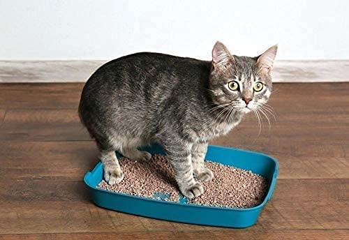 Image of Petlicious & More Smart Cat Littre Sand 5 Kg Pack