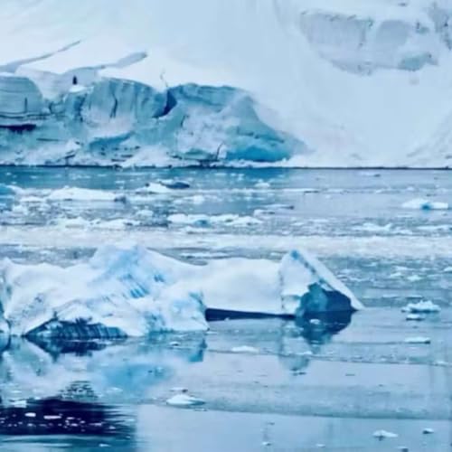 Antarctic Drilling Urgency Shocks World, Caltech Measures Predicted Energy Levels, Science Tokyo Launches Visionary Initiatives, Bioimaging Advances Boost Crop Resilience, and more...