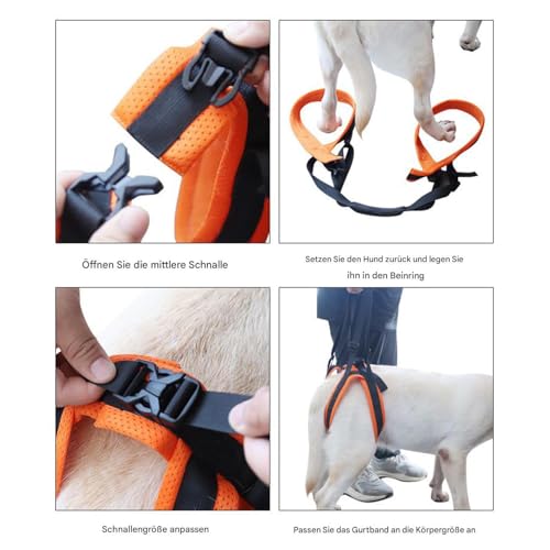 Verstellbares Mobilitätsgeschirr – Hebegurt Für Hunde Mit Weichem Griff, Unterstützende Gehhilfe, Bequemer Sicherheitsgurt | Hundeaufzüge Für Ältere, Verletzte, Behinderte Haustiere, Treppen, Auto, Hy
