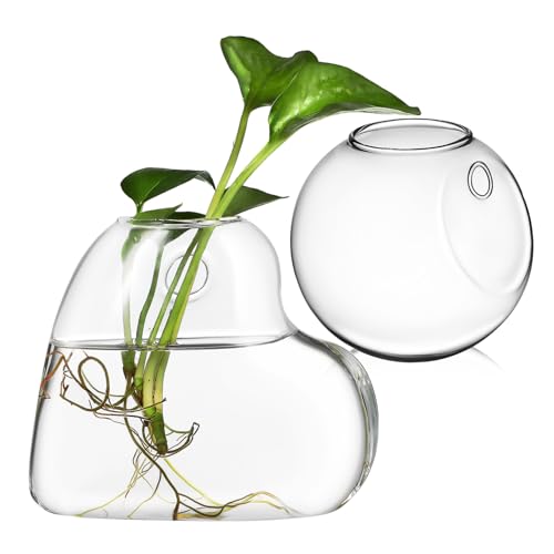 FONDOTIN Macetas De Pared De Vidrio De Borosilicato para Plantas De Interior, Terrario Colgante De 10 Cm Semicircular, Estación De Propagación Soporte Transparente para Decoración De Paredes