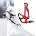 CHICIRIS Dog Head Halter with Safety Strap, Head Collar for Dogs, No Pull Dog Head Harness Dog Head Halter Leash with Safety Strap for Training Guide (Red)