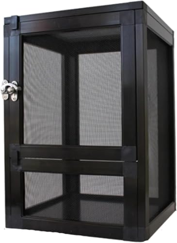 Oanawy A~jE঒ޗpCP[W A~jEP[W (ubN)