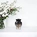 Wolf Urn, Urn for Ashes Adult Male, Funeral Urns for Adult Ashes Women, Burial Urns Adult Female, Small Urn for Ashes Adult Male, Small Urns for Human Ashes(Size - 10inch 1Pcs, 3inch 4Pcs)