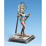 freebooters fate plattengröße Freebooter's Fate - Temazcalli - EN/DE