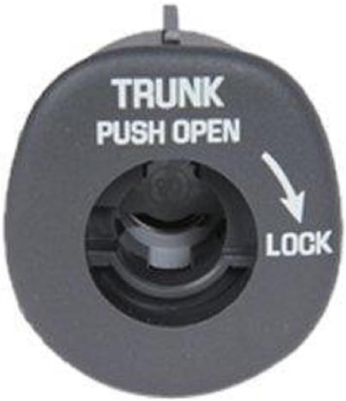 ACDelco D1492E GM Original Equipment Dark Gray Trunk Lid