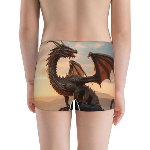 Boys' Cotton Boxer Brief Soft Underwear-Sky Sunset Bronze Dragon3