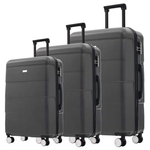 Hardshell Luggage Sets 3 Piece Double Spinner Wheels Suitcase with Handle Password Lock, Lightweight 20