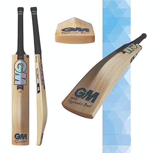Best Cricket Bats Under 1000 10Reviewz
