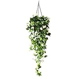 Ornamento ideal para bodas, festivales, fiestas, hogar, jardín, valla, marco oscilante de cobertizo, en cualquier lugar que desee un toque de naturalidad.