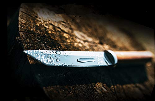 Holyedge 9.4Inch Japan Ninja Samurai Tanto Fixed Blade Knife With 4.1Inch Blade Wood Handle - Best Outdoor Camping,Hunting,Fishing,Hiking Tactical Survival Knife W/Sheath #TOP5