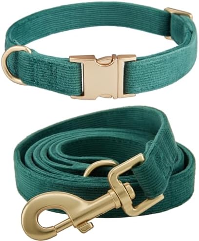 YUDOTE Hundehalsband und Leine Set Klein, Weiche Reizfreie Cord-Halsband-Leine Passende Combo für Den Täglichen Spaziergang, Grün