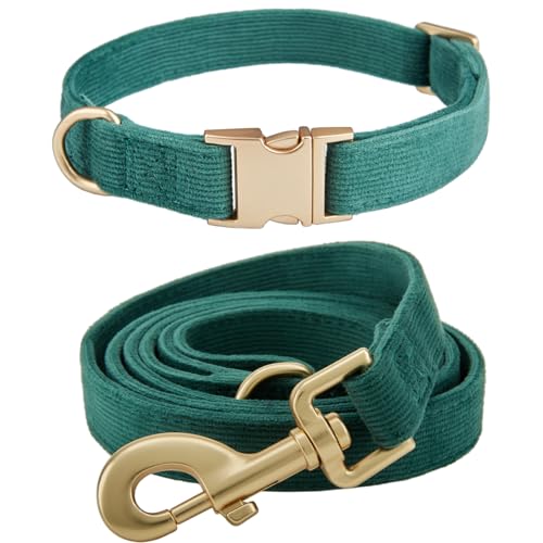 YUDOTE Ensemble Collier et Laisse pour Chien Petite Taille, Doux, Non-Irritant, Collier en Velours Côtelé et Laisse Assortis pour Petites Races Lors des Promenades Quotidiennes, Vert