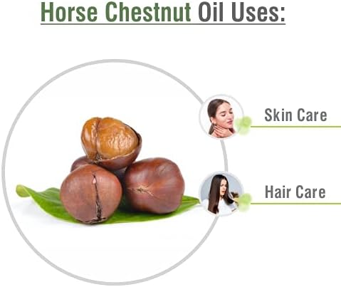 Horse Chestnut Oil Pure and Natural Oil, 15 ml (Pack of 1) - Image 4