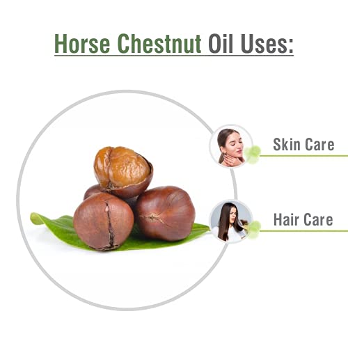 Image of B-URBAN Horse Chestnut Oil |Pure and Natural Horse Chestnut Oil | Firm, Hydration, Toning, Cosmetic Grade| Skincare, Hair Care, and DIY Purpose (100ml)