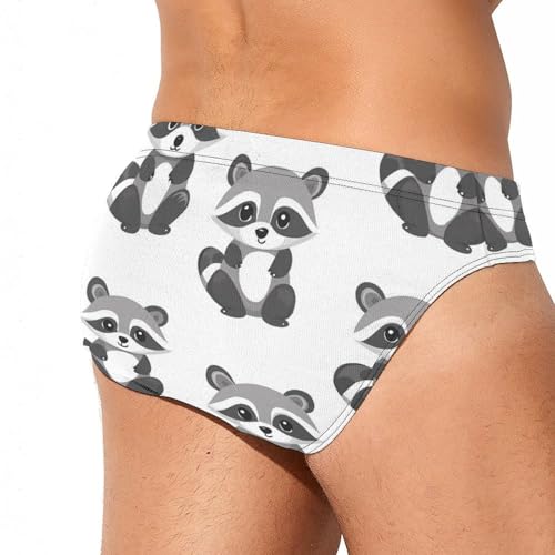 Gray Raccoons Pattern Mens Swim Briefs Bikini Sexy Low Rise Trunks Swimsuit Bathing Suit Beach3