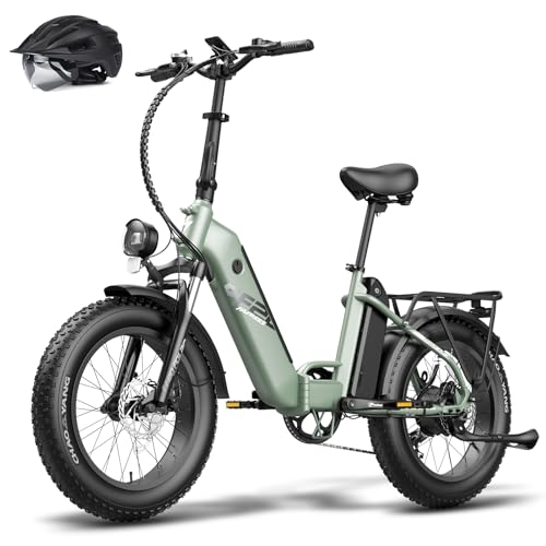 Fafrees FF20 Polar Fatbike E Bike Klapprad 20 Zoll mit 48V 13,4Ah*2 Akkus, E-Bike Damen Herren...