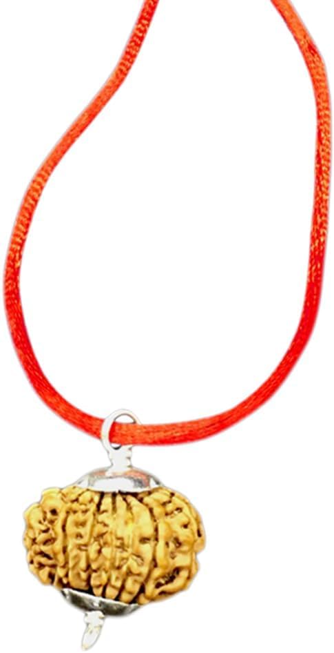 Pendentifs Rudraksha du Népal en bois de 20mm pour création de bijoux