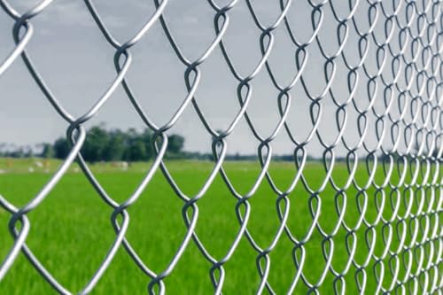 Image of Chain Link Fencing Net For D Fence Alloy Steel Wire, Thickness 3 MM, 10 Gauge Wire inch4x4 inch Inch Block Size, Rust-Proof, Heavy Duty Fence for Farm, Garden, Home, (5 Feet Height, 50 Feet Length)