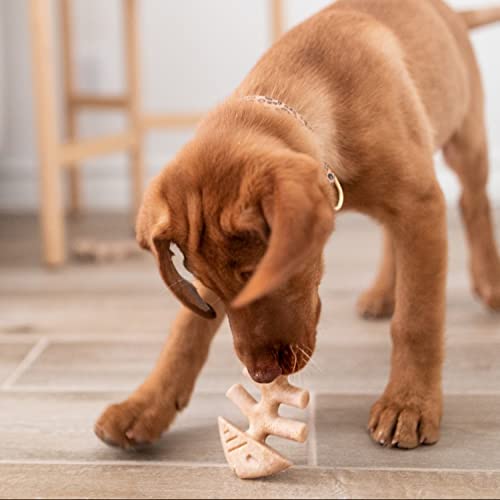 Benebone Puppy Tiny 2-Pack Indestructible Fishbone for Modest Chewers Teething Boredom Breaker for Puppies Real Jack Salmon Flavour - Image 4