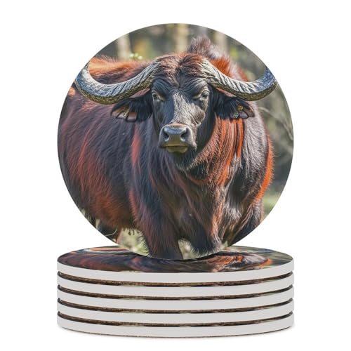 Dessous de verre en céramique et liège premium pour protéger vos tables - 2