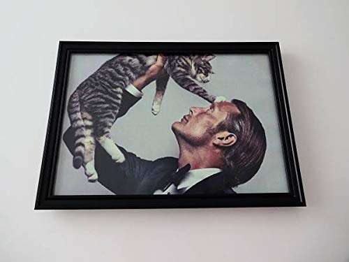 Amazon.co.jp: アートフレーム§A4額 写真ポスター付§マッツミケルセン