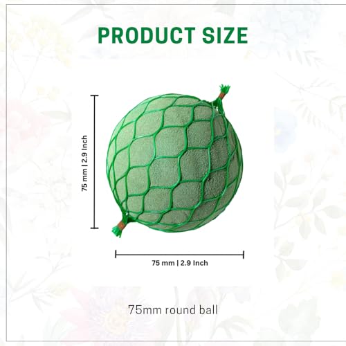 Image of OASIS Pack of 6 Floral Foam Spheres | Green Round Foam Spheres Balls for Fresh & Artificial Flowers | Wet & Dry Use | Ideal for Wedding, Party & Home Floral Arrangements - Netted (75mm)