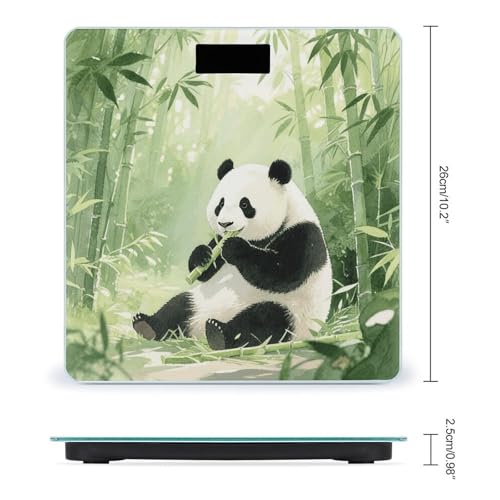 Báscula digital de baño con vidrio templado y pantalla LED miniatura 2