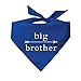 Big Brother Fashion Printed Dog Bandana (Assorted Colors)