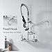 BAGNOLUX Commercial Sink Faucet, 8