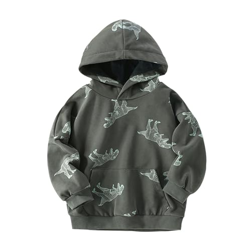 Boys' Zip Up Hoodie Sweatshirt Toddler Boys Cartoon Dinosaur Printing Causal Round Neck T for Children (AG, 4-5 Years)