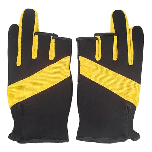 tBbVOO[u ̎舵p - mXbv tBbV[} MA - Lb`tBbVO[u - j  e vtFbVi v ގ