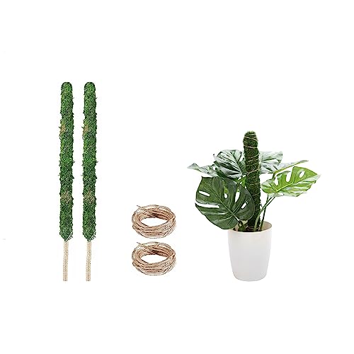 yCharming Clubz|x XeϗtA |gX wS RRXeBbN x AT|[g 鐫A K[fjOx Ԃ t[X^h (70cm*2)