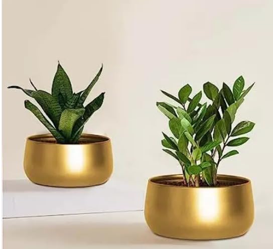 2Brothers Point Metal Plant Pots, Indoor Planter Flower Pots with Drainage Hole, Home Garden Decor Planter for Living Room Bedroom Interior (Gold Finish, Pot) |